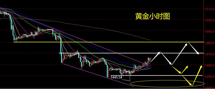 老黑策略：11.13晚盘黄金分析策略