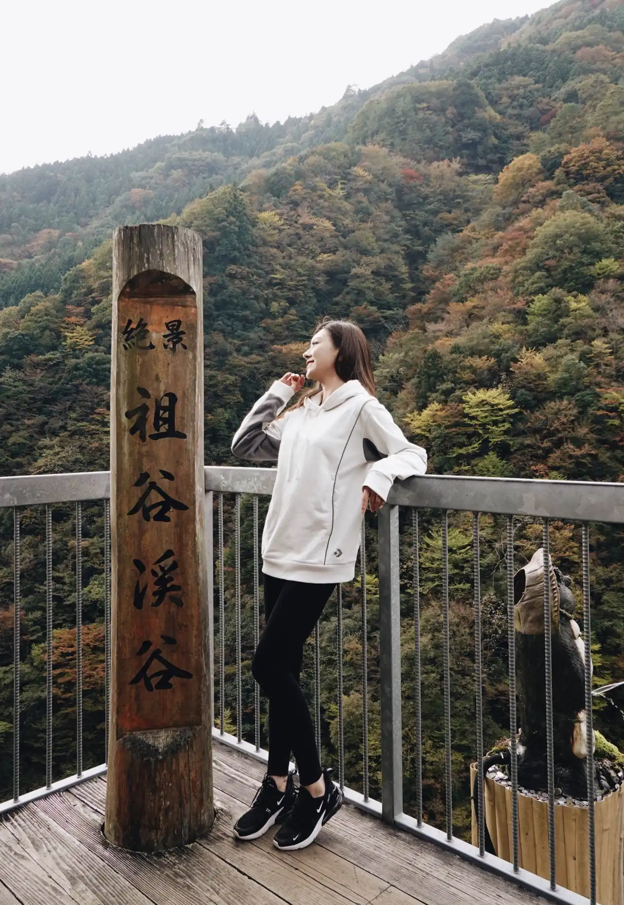 feed image