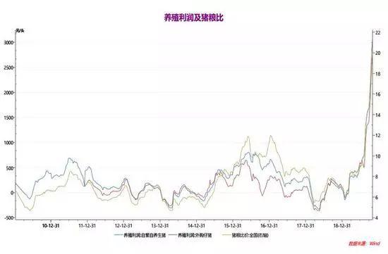 【期权时代】玉米期权交易看这篇！（基本面、技术面及策略分析）