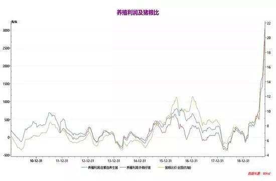 【期权时代】玉米期权交易看这篇！（基本面、技术面及策略分析）