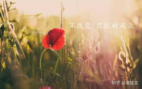 凌佳言：投资黄金怎么能做到不贪的？赚钱为什么这么难？