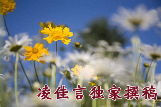 凌佳言：投资黄金怎么才能快速回本，这样交易保你比别人赚的多
