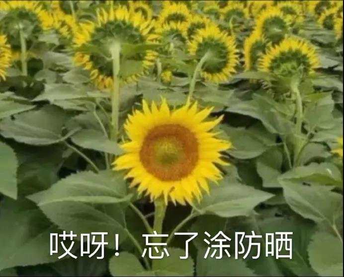 让我们举起香槟庆祝——10月社区达人榜发布