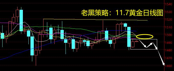 老黑策略：11.7黄金分析策略