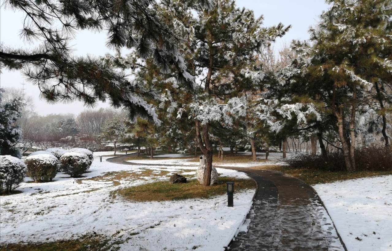 跑步 下雪 感觉 中国