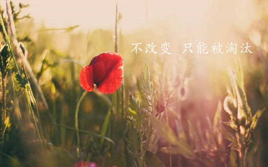 凌佳言：做伦敦金的短线交易赚钱吗？为什么亏损的反而更多