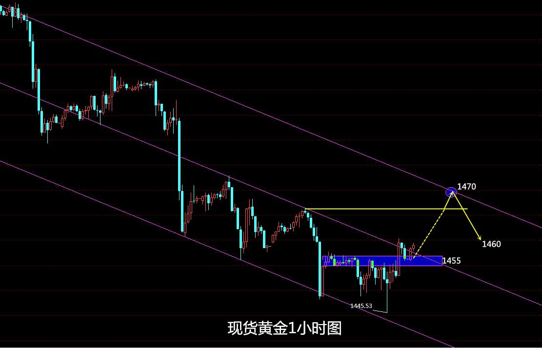 鹰眼谈金：11.13现货黄金行情分析 日线探底金针能否反转？