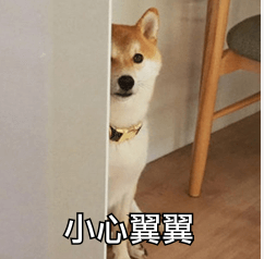 feed-image-0