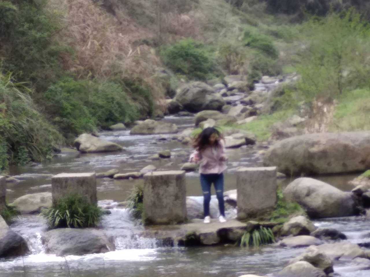 feed image