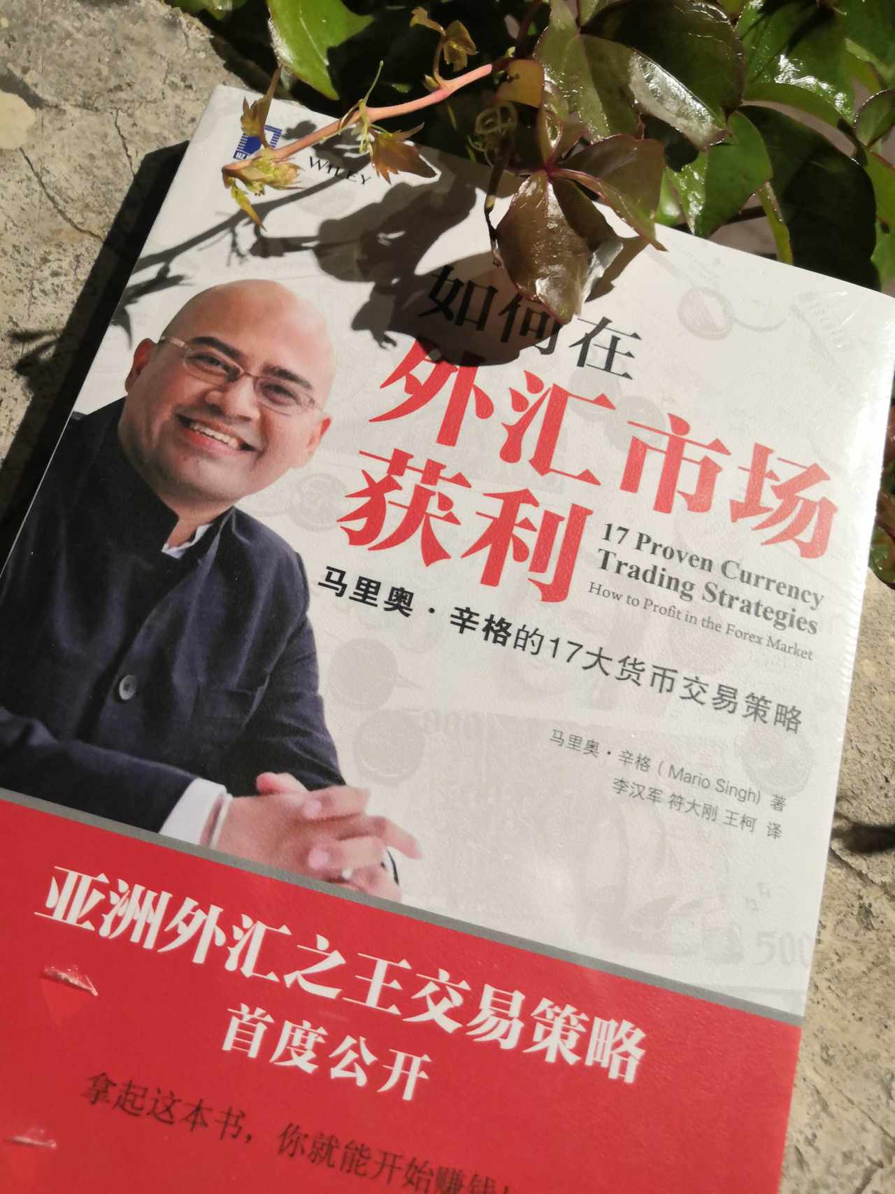 外汇基础知识—杠杆率
