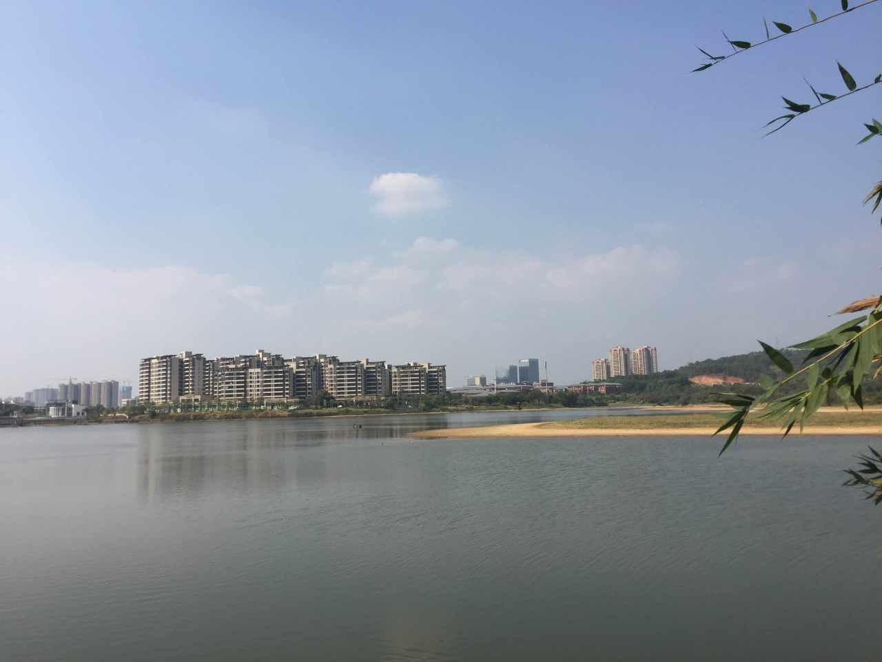 羽风的分析