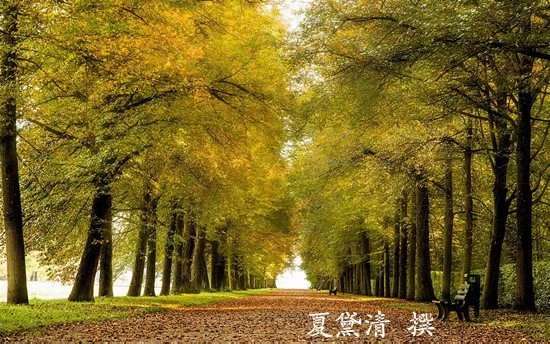 夏黛清：12.23黄金短暂上扬预示多头？日内走势解析