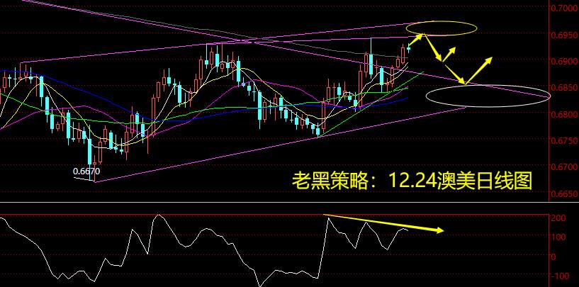 老黑策略：12.24外汇分析策略