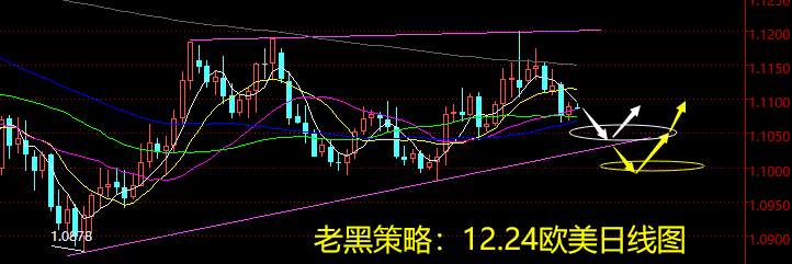 老黑策略：12.24外汇分析策略