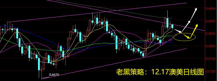 老黑策略：12.17外汇分析策略