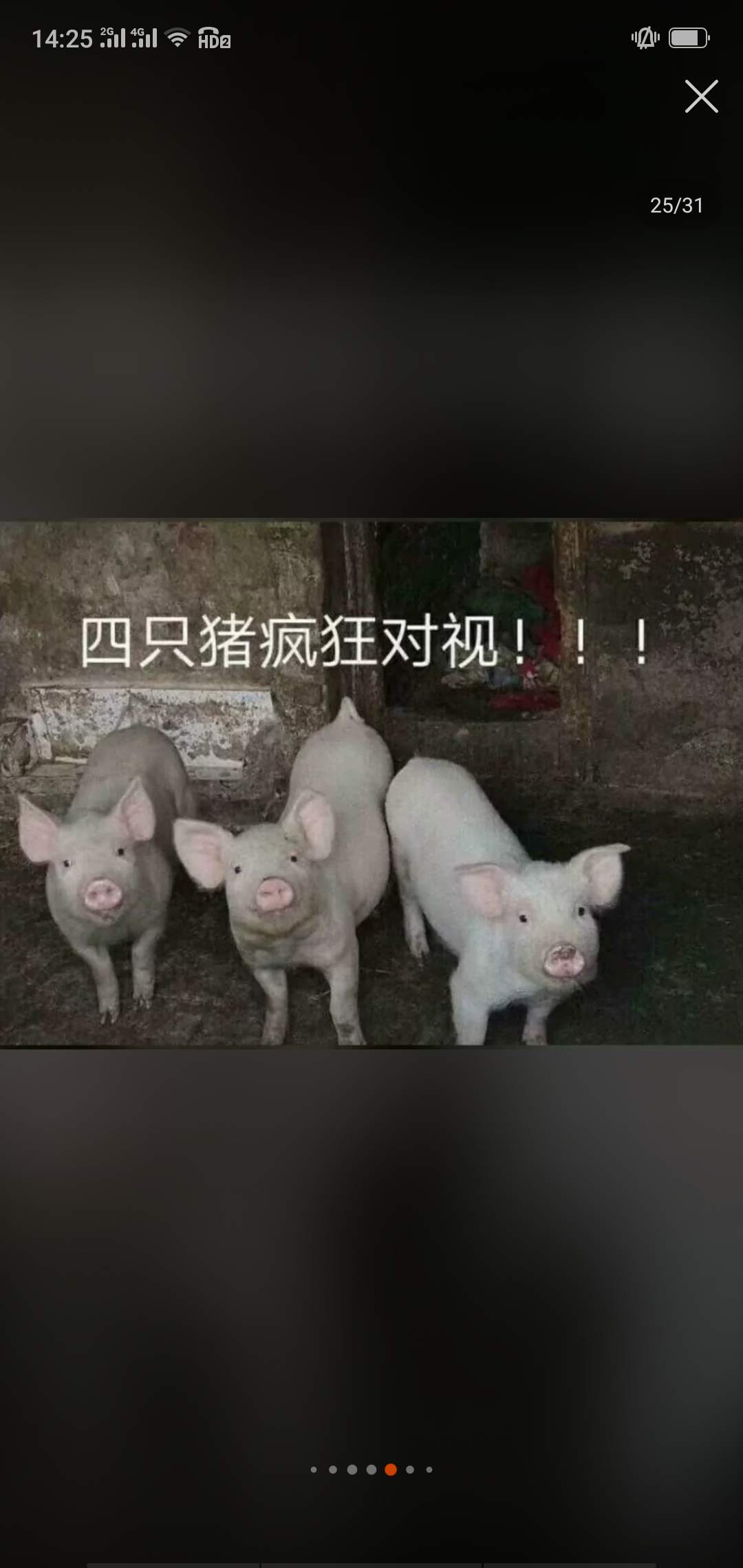 feed image