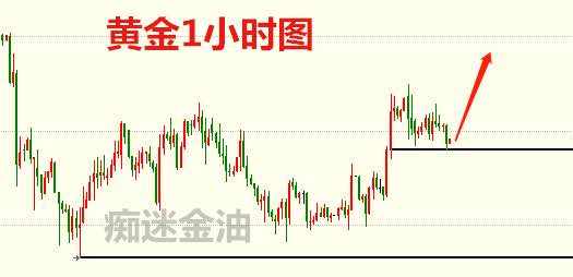 预期 黄金 低于 止损 利多 探底