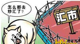 杨嘉壹：12.8揭秘：黄金外汇是不是骗局？值不值得参与？