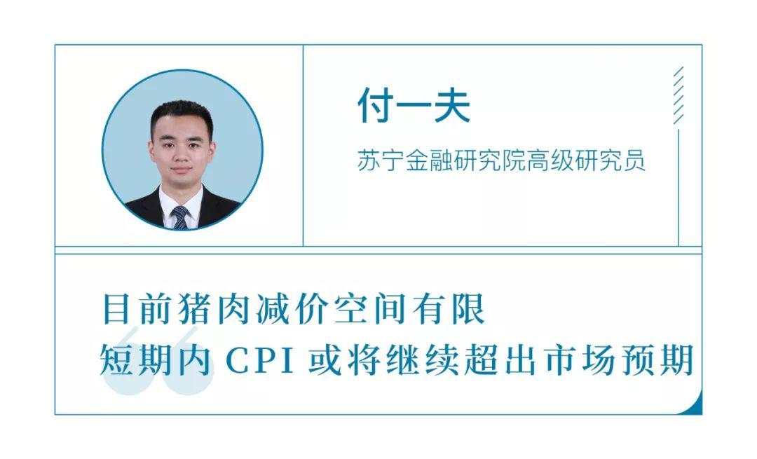 一头猪推高CPI，该不该剔出去？