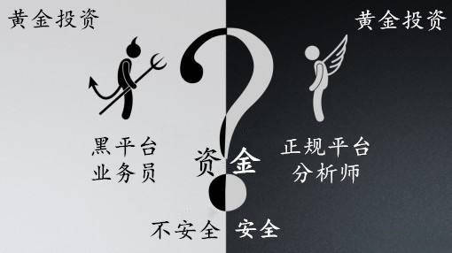 杨嘉壹：12.26外汇黄金投资防骗指南，投资者必看！