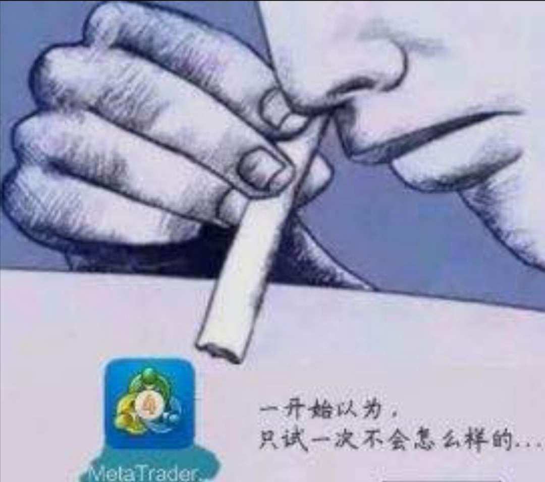 沙雕专访 | @三毛点金2019  “轻仓是不可能轻仓的，这辈子都不可能轻仓的...” （必看）