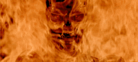feed image