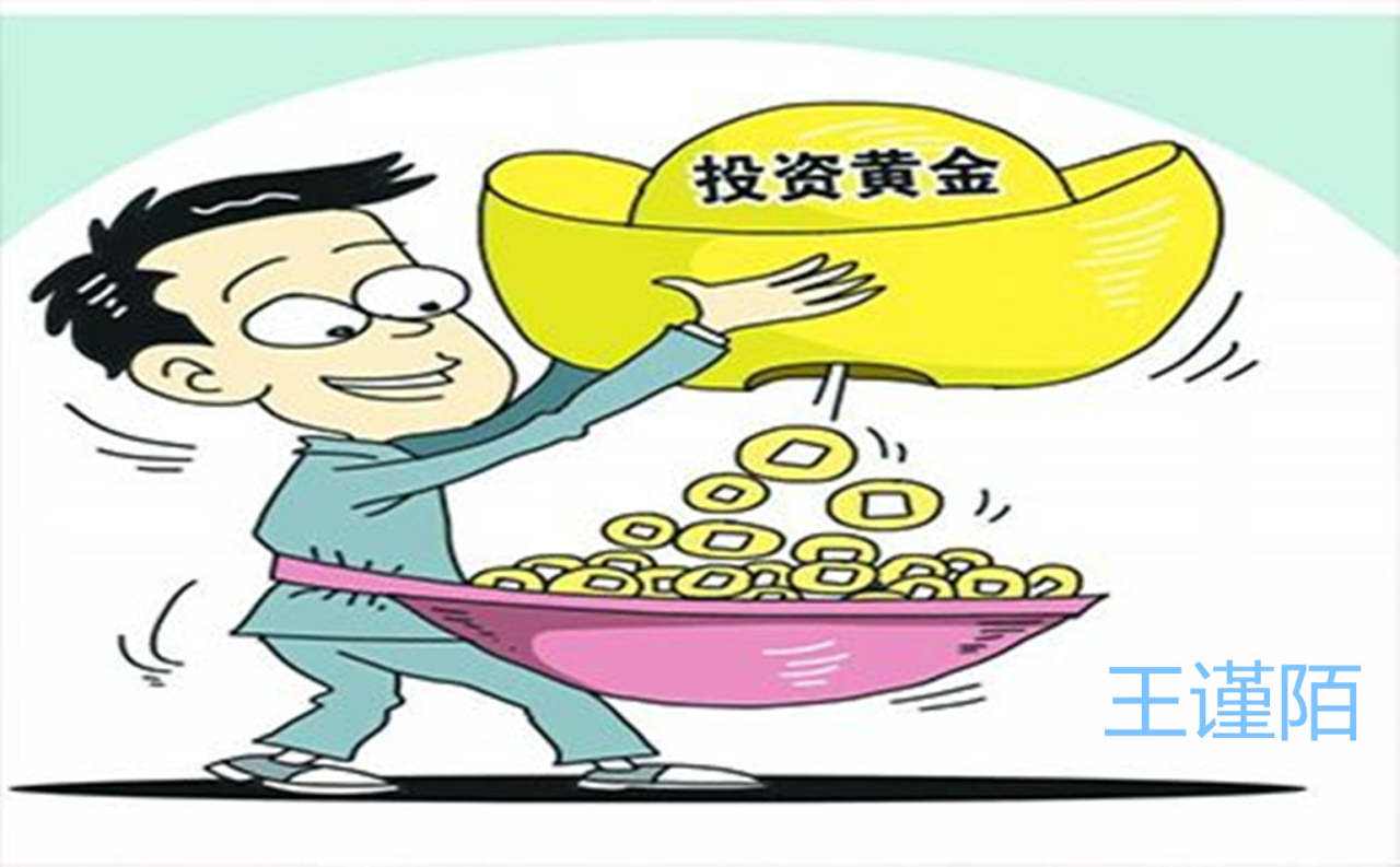 王谨陌：投资理财外汇黄金，如何赚钱？