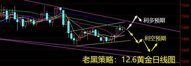 老黑策略：12.6黄金分析策略