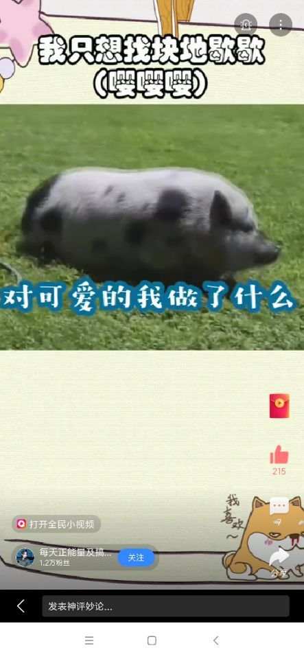 再叙盈亏比（生活对我做了什么？）