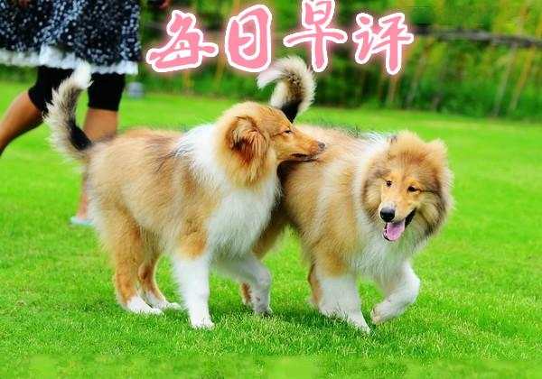 恒指李阳12.16日预测及操作建议