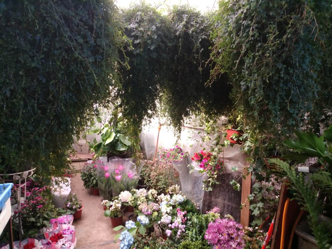 feed image