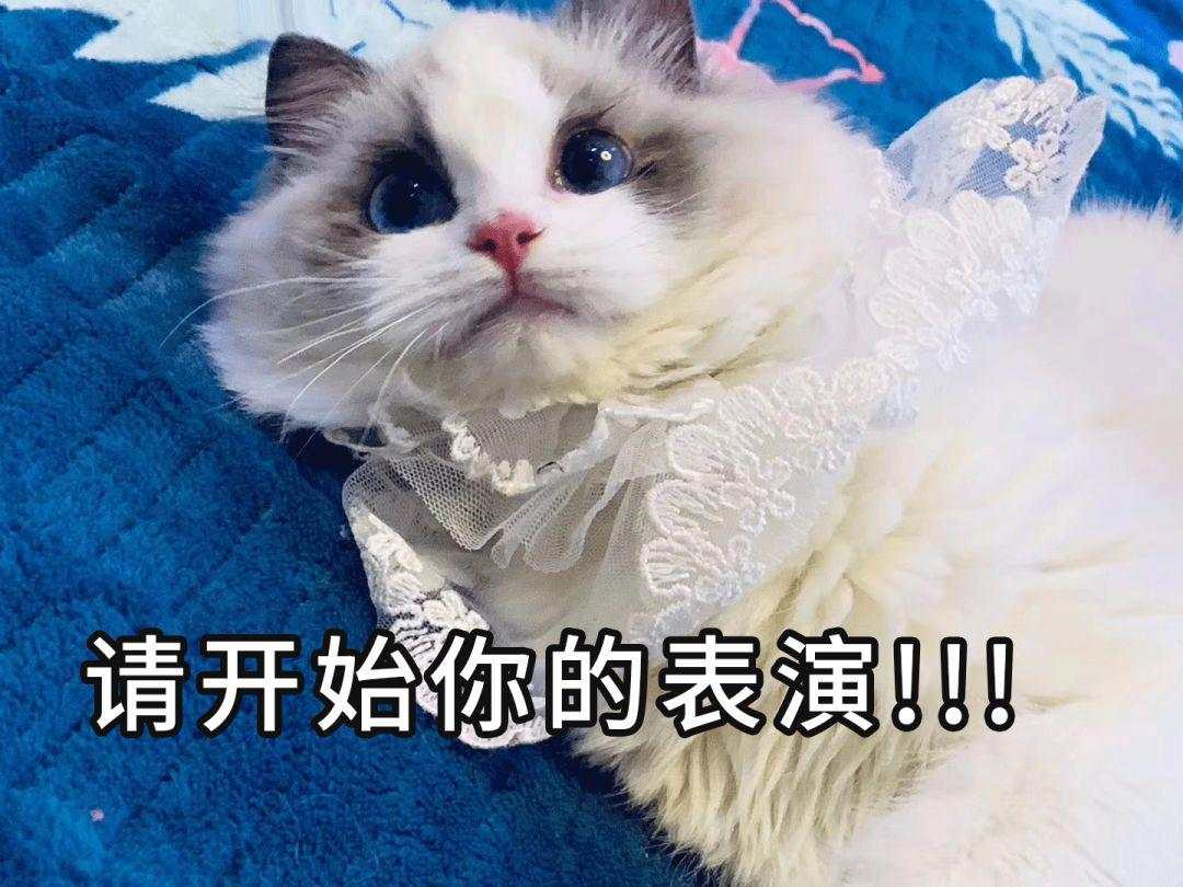 年终巨献！2019年涨幅前五！这些城市怎么办到的？！| 檀楼市