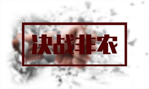feed-image-0