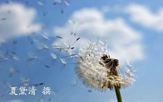 夏黛清：12.23黄金短暂上扬预示多头？日内走势解析