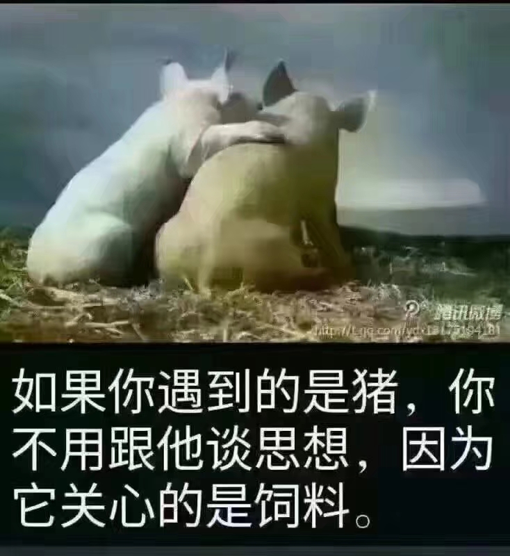 feed-image-0