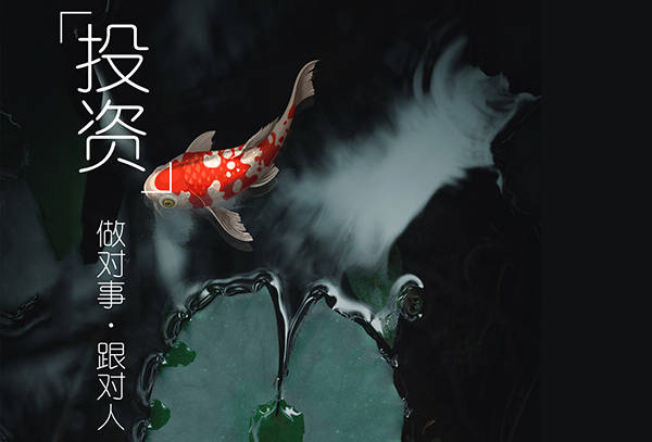 杨嘉壹：12.23你的投资为何都是以失败告终？这个赚钱的方法你有把握吗？