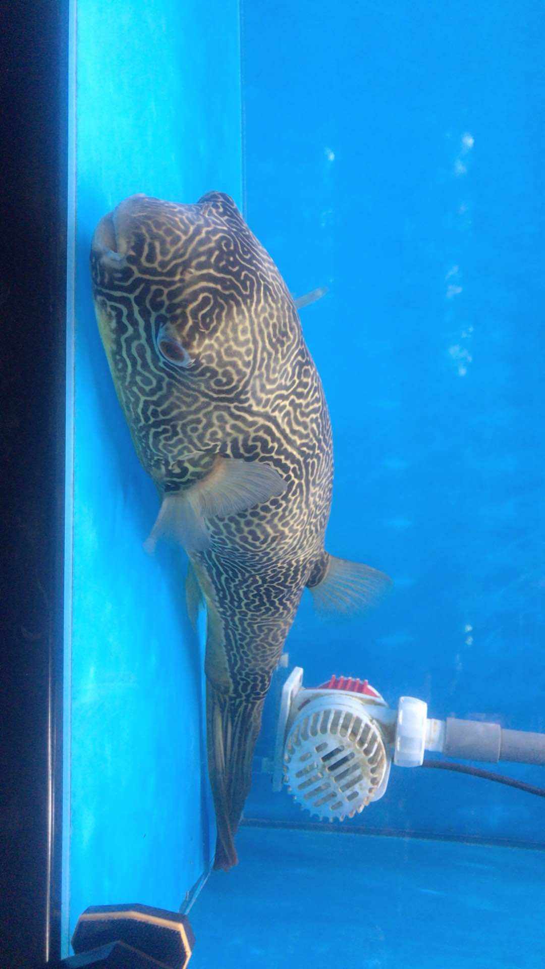 feed image