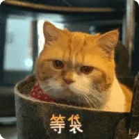预备双十二，双DAN福袋预备到达现场...