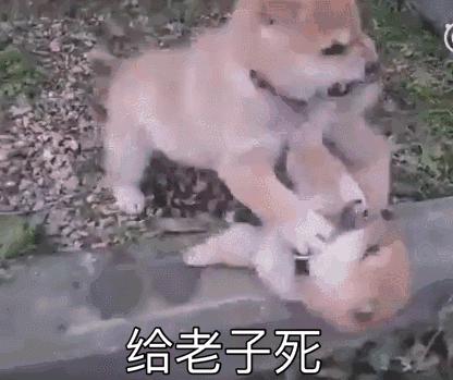 OFO退个押金都要靠薛定谔的返现了，还有什么办法避过消费主义深坑？