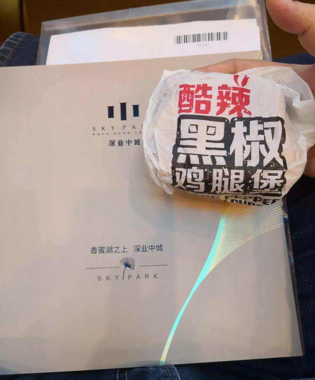 2019深圳十大最热楼盘，千万富翁组队啃汉堡“秒”豪宅!