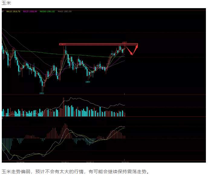 ALPHA每日洞察——2020.01.14