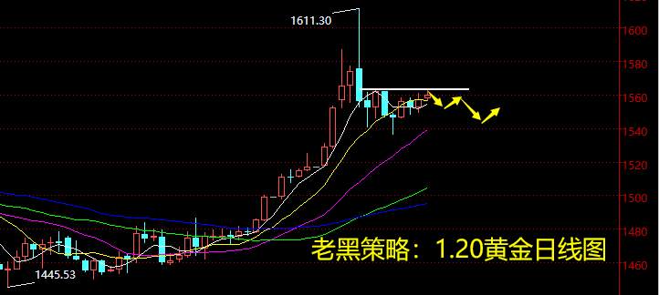 老黑策略：1.20晚盘黄金分析策略
