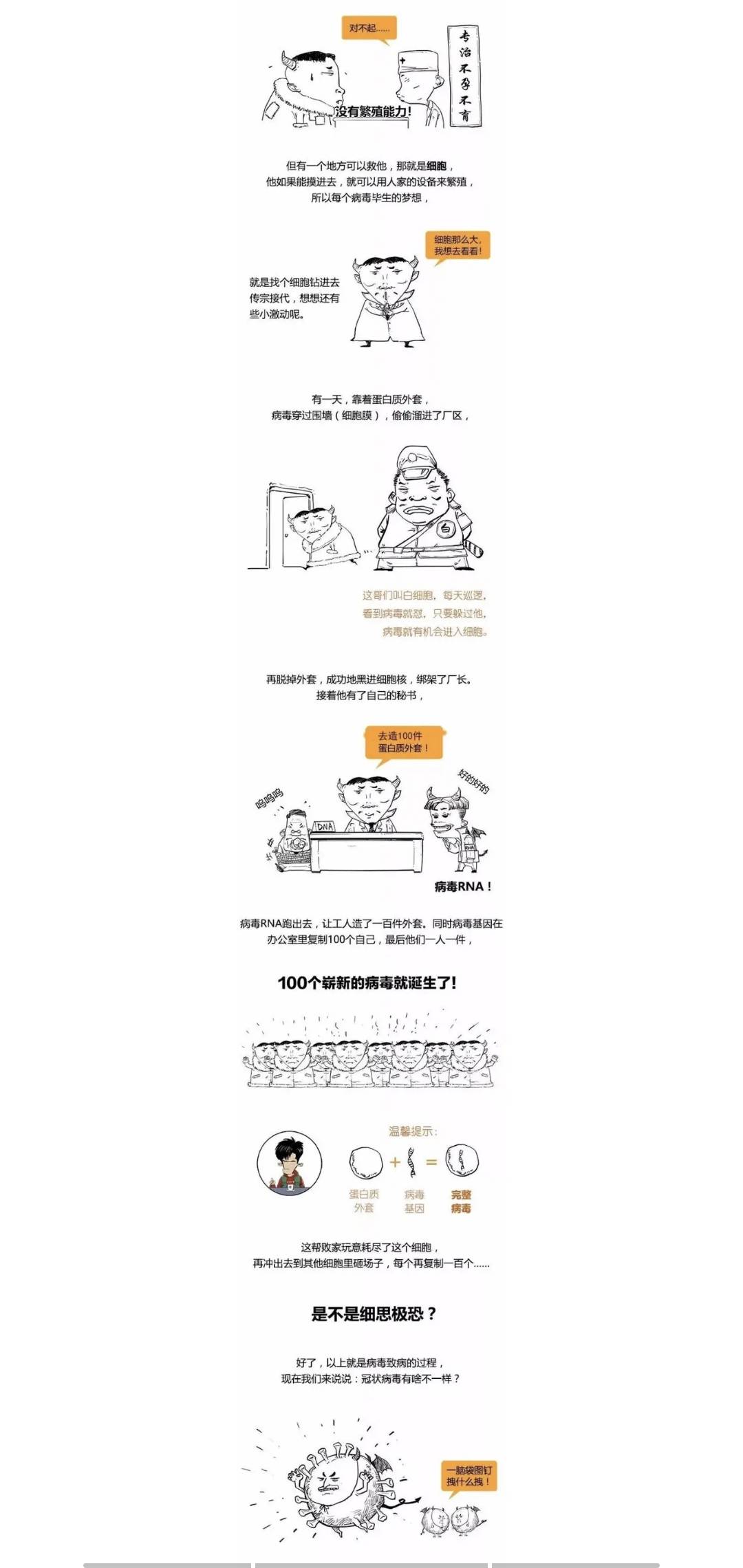老张侃侃之年度总结篇