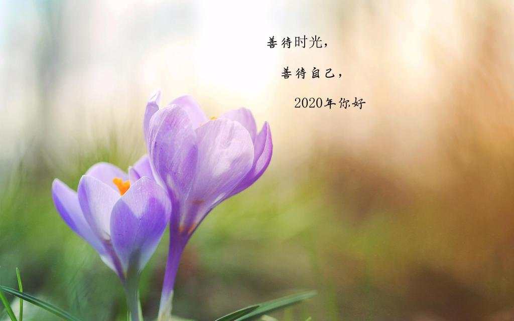 @今日话题
大家好，2020年他就这样走来了。