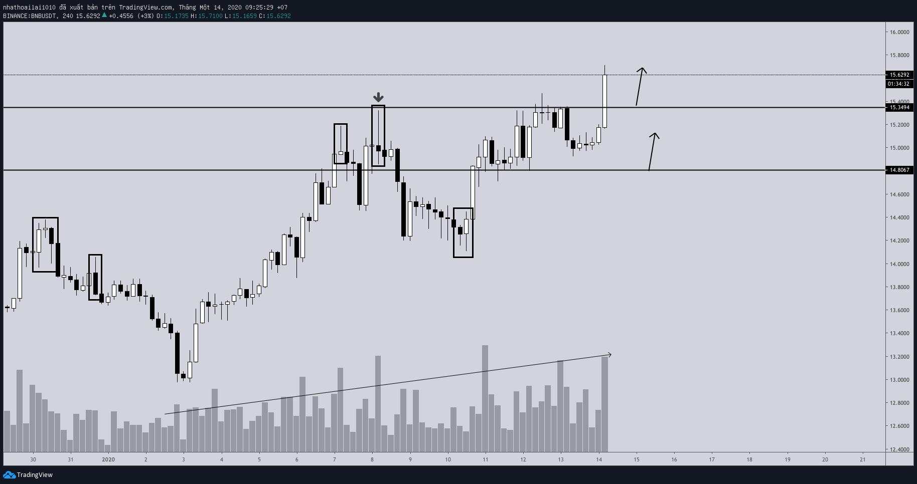 Hôm nay trade coin gì? - Ngày 14/01: Đục trần