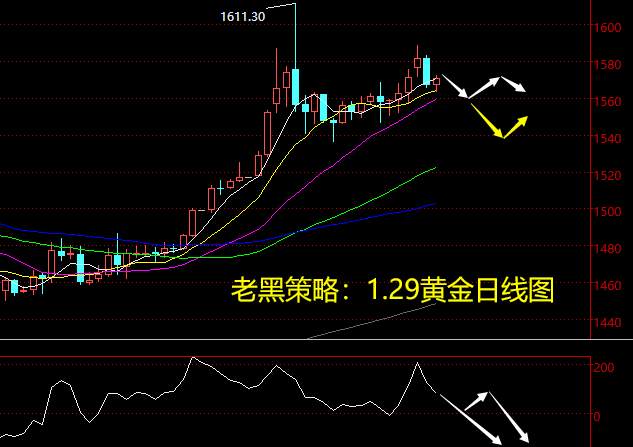 老黑策略：1.29晚盘黄金分析策略