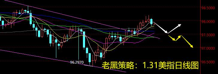 老黑策略：1.31外汇分析策略