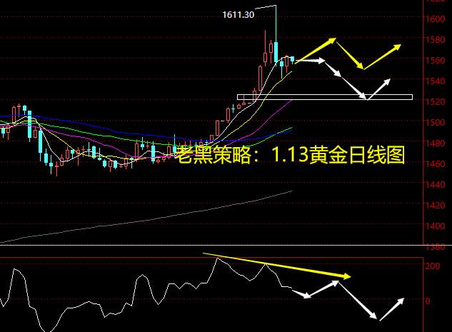 老黑策略：1.13黄金分析策略