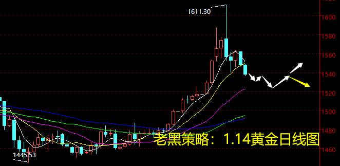 老黑策略：1.14黄金分析策略
