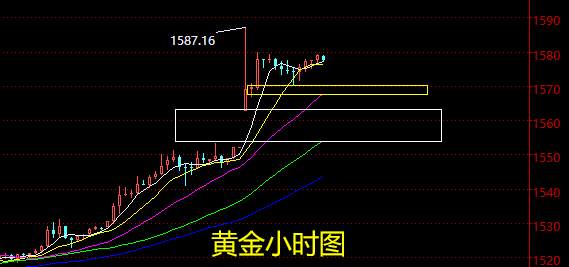 老黑策略：1.6晚盘黄金分析策略